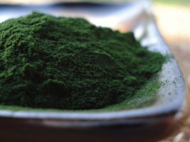 Chlorella - alga verzuie cu super proprietati