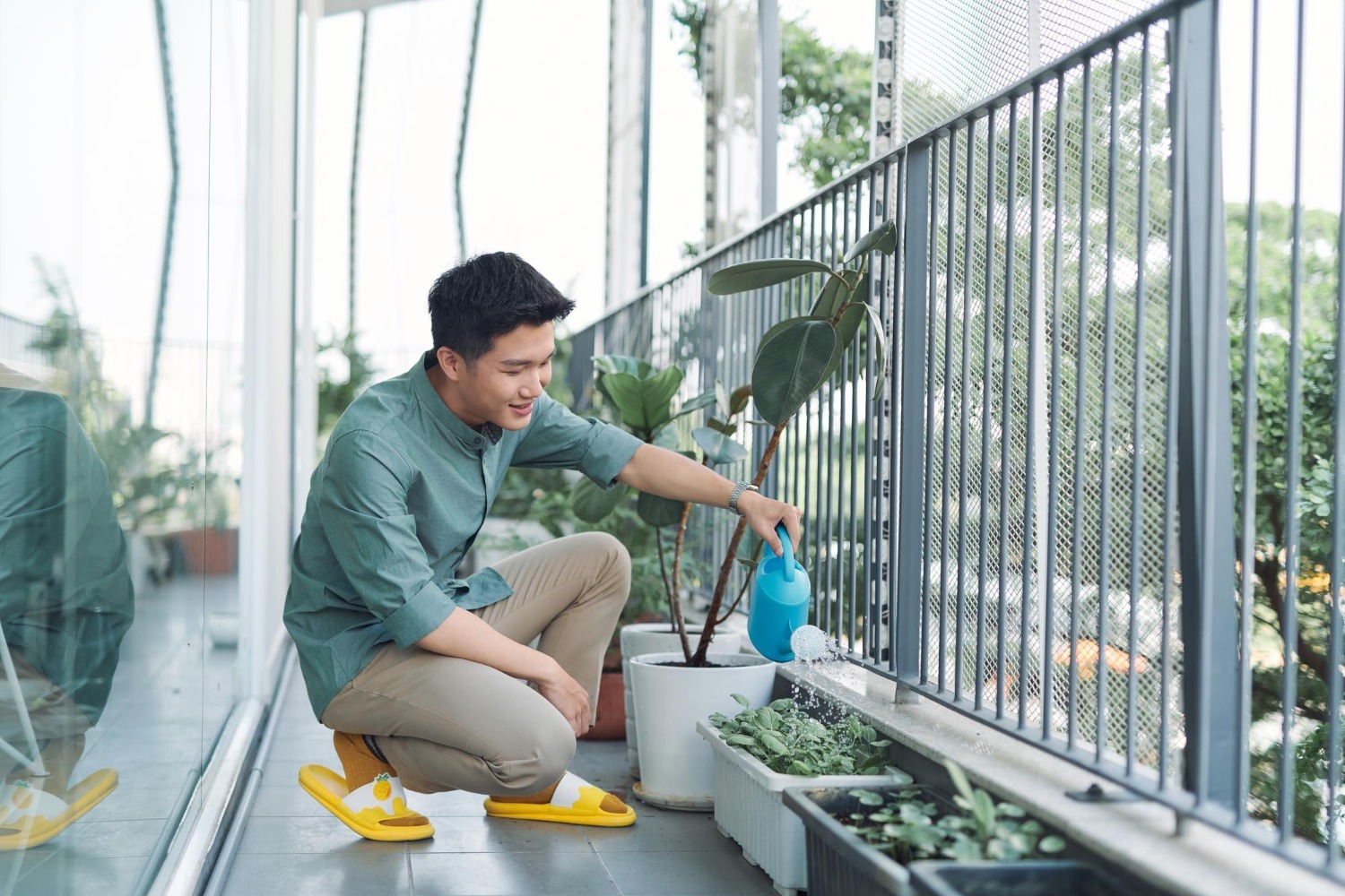 Cum să îți amenajezi o grădină în balcon după ce ai cumpărat un apartament nou?